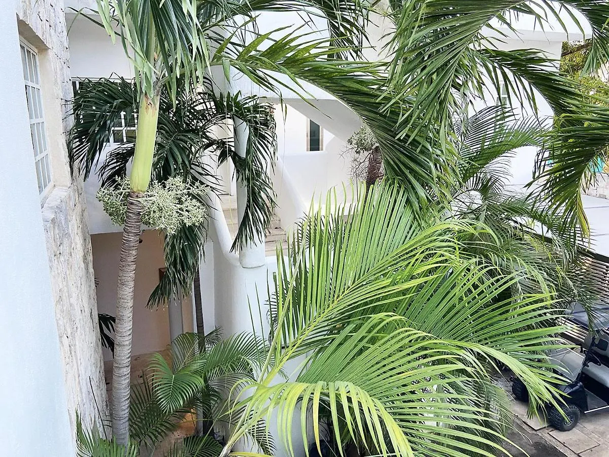 Nasim Condo Hotel Con Acceso Beach Club Gratis, Metros 5Th Avenida Playa del Carmen