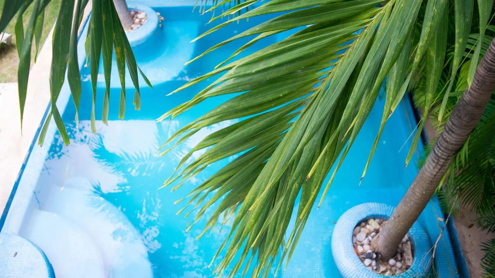 Nasim Condo Hotel Con Acceso Beach Club Gratis, Metros 5Th Avenida Playa del Carmen